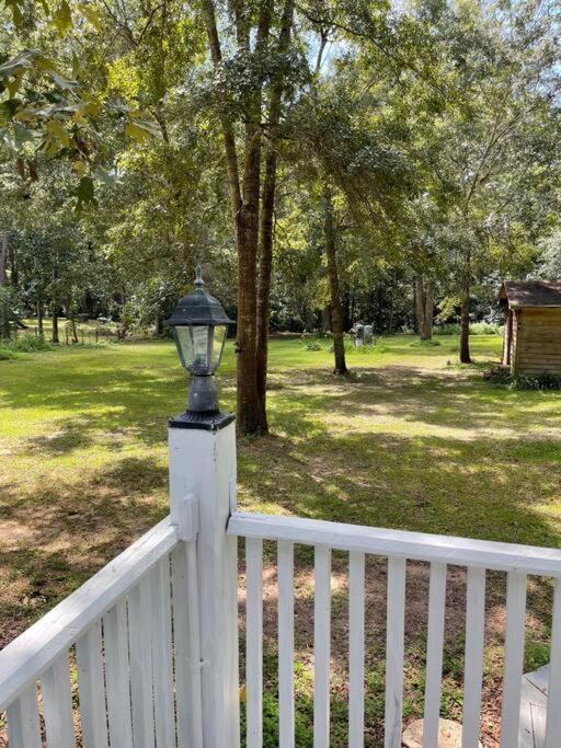 Town & Country Hideaway - 1Br/1Ba, 20 Min Famu/Fsu Apartment Tallahassee Ngoại thất bức ảnh