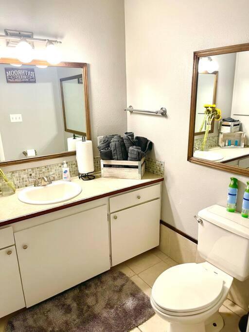 Town & Country Hideaway - 1Br/1Ba, 20 Min Famu/Fsu Apartment Tallahassee Ngoại thất bức ảnh