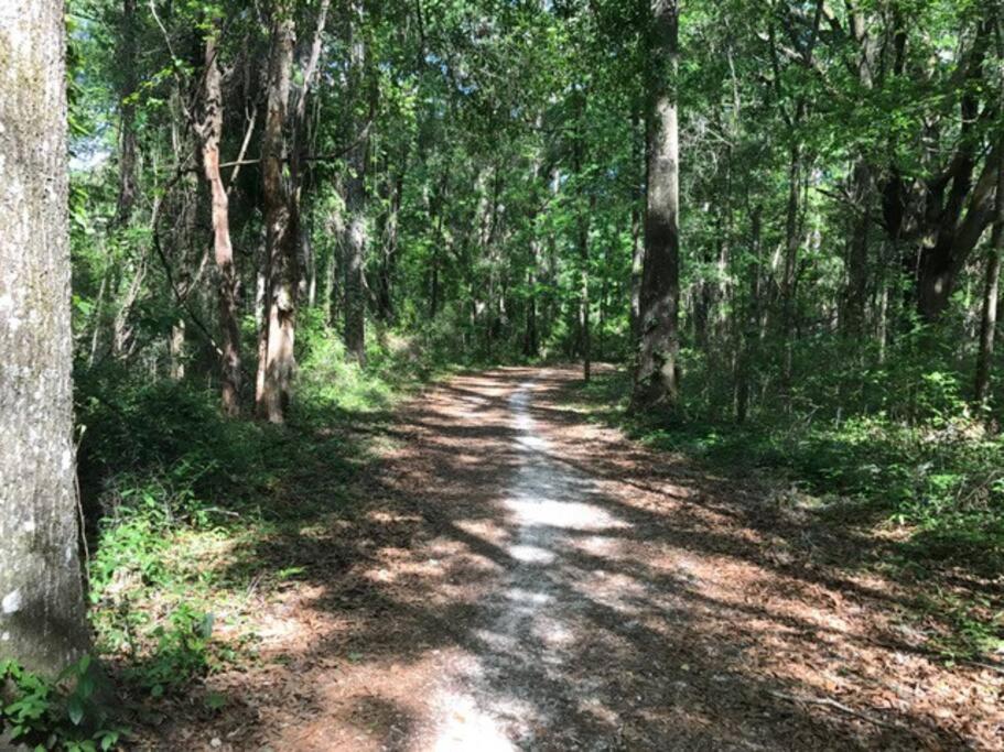 Town & Country Hideaway - 1Br/1Ba, 20 Min Famu/Fsu Apartment Tallahassee Ngoại thất bức ảnh